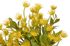 Trs luční květy 5 větviček - žlutá