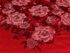 Šála typu pashmina květy růže 70x175 cm
