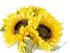 Umělá slunečnice svazek