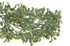 Umělá girlanda buxus 180 cm - zelená