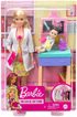 MATTEL BRB Povolání herní set Panenka Barbie doktorka s doplňky