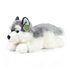 Plyšový pes husky ležící 30 cm