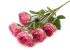 Umělá kytice růže