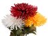 Umělá chryzantéma
