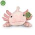 Plyšový axolotl 33 cm