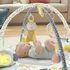 Fisher-Price hrací deka Go Bananas pro miminko (baterie, světlo, zvuk)