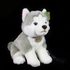 Plyšový pes husky sedící s vodítkem 28 cm