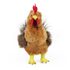 Plyšový kohout stojící, 33 cm