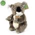 Plyšová koala 22 cm