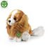 Plyšový pes kavalír King Charles španěl 28 cm