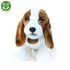Plyšový basset 27 cm ECO-FRIENDLY