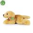 Plyšový retriever 30 cm