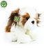Plyšový pes shih tzu 30 cm sedící