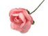 Růže na drátku / polotovar na vývazky Ø20 mm délka 7 cm