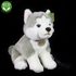 Plyšový pes husky sedící s vodítkem 28 cm