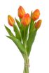 Svazek tulipánů (5 ks) - oranžová 30 cm