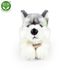 Plyšový pes husky ležící 30 cm