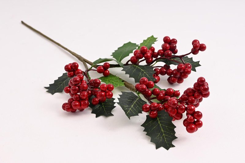 Mahonie s bobulemi 371472 - 40 cm