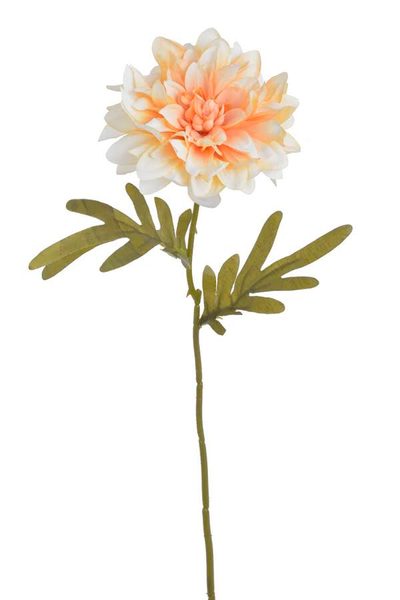 Květ jiřiny 38 cm - meruňková