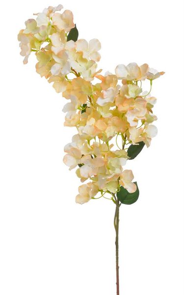 Kvetoucí hortenzie 71 cm - meruňková