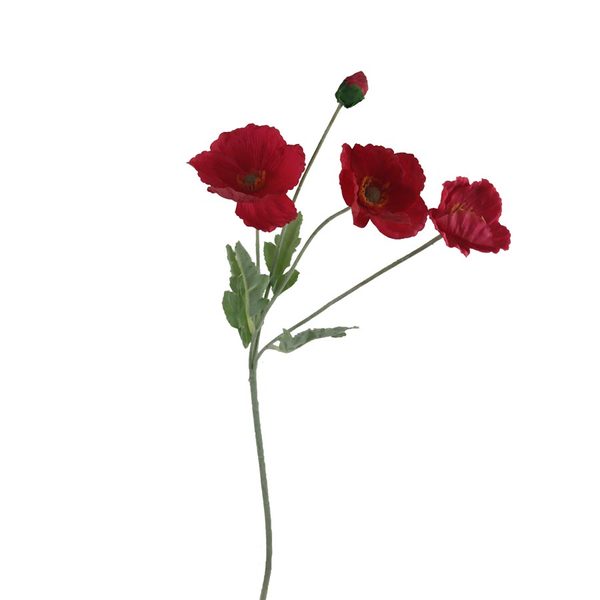 Vlčí mák X7963-08 - 64*15*5CM