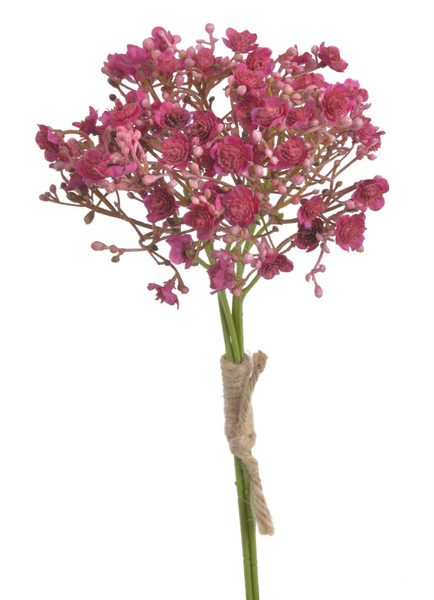 Gypsophila / šater 5 ks – fuchsiová, 29 cm