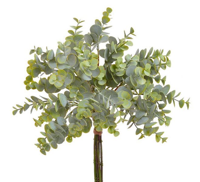 Eukalyptu svazek 8 ks - zelená