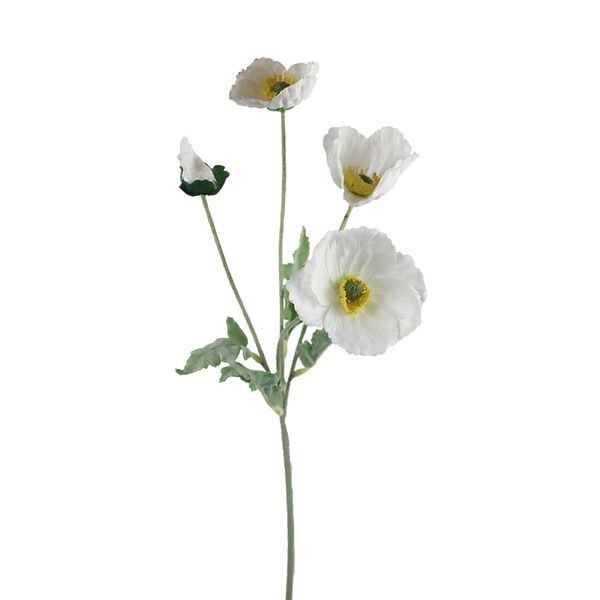 Vlčí mák X7963-01 - 64*15*5CM