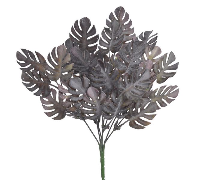 Monstera trs 35 cm - tm. zelenohnědá