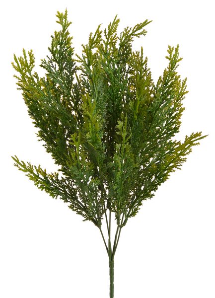 Túje 41 cm - zelená