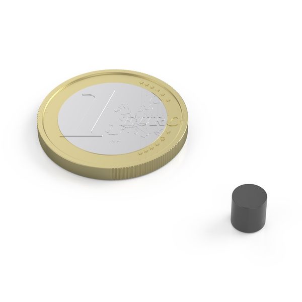 Magnet Ø 5 mm 20 kusů