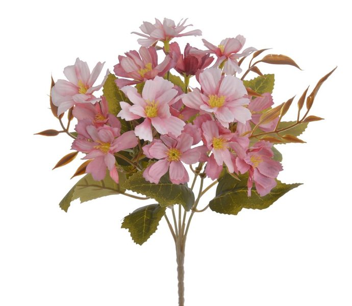 Klematis / plamének – trs 5 větviček růžová, 27 cm