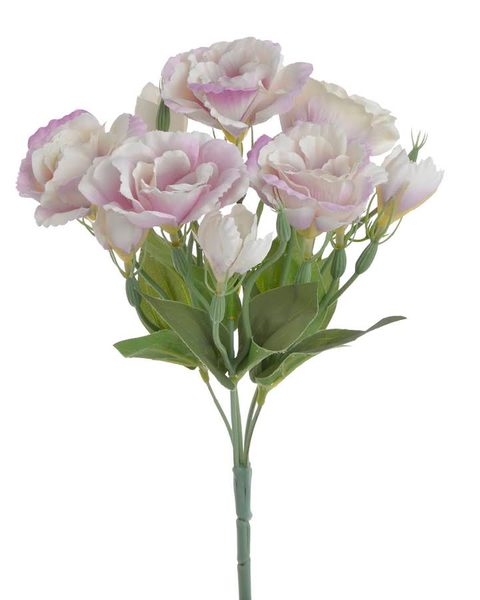 Jícnovka buket - lila