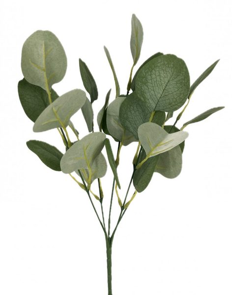 Eukalyptus trs - zelenošedá