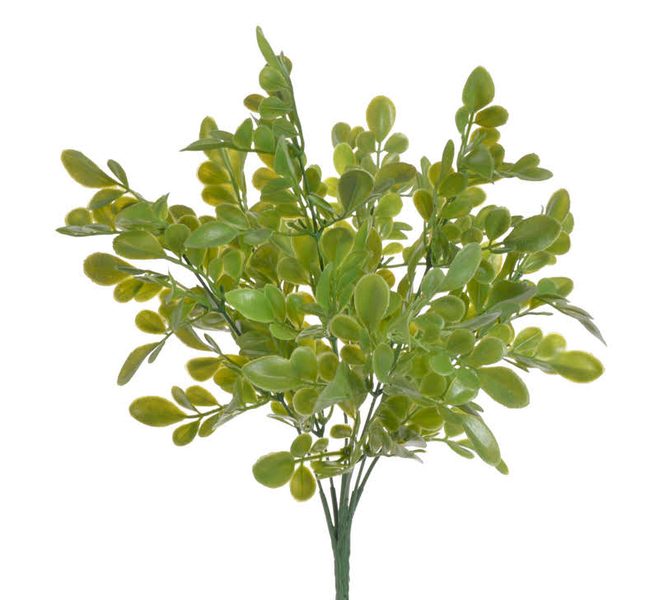 Umělý buxus 32 cm - zelená