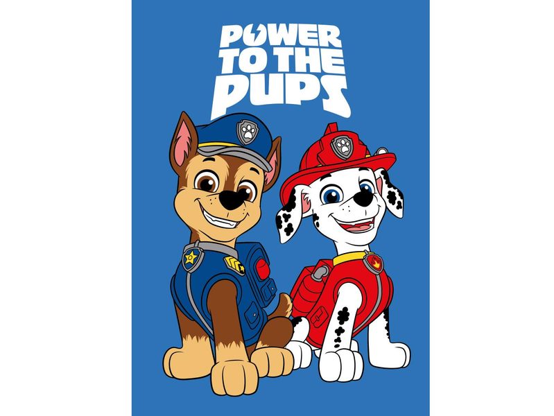 Dětská fleecová deka Tlapková Patrola Power Pups 100x150 cm