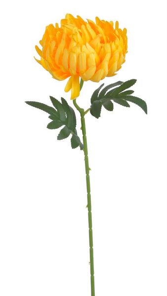 Chryzantéma 50 cm - žlutá