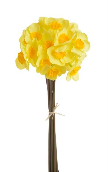 Narcis svazek 6 ks - žlutá/žloutkový střed