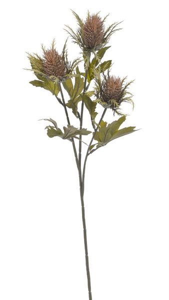 Umělý bodlák s listy - hnědá 67 cm