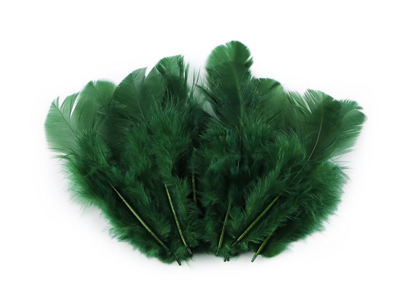 Slepičí peří délka 8-9 cm