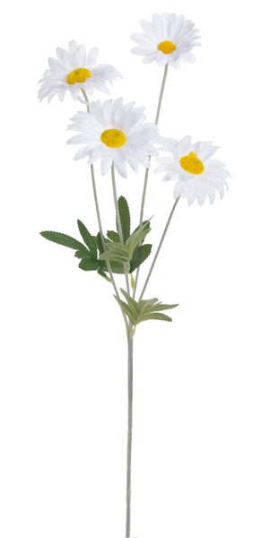 Kopretina 56 cm - bílá