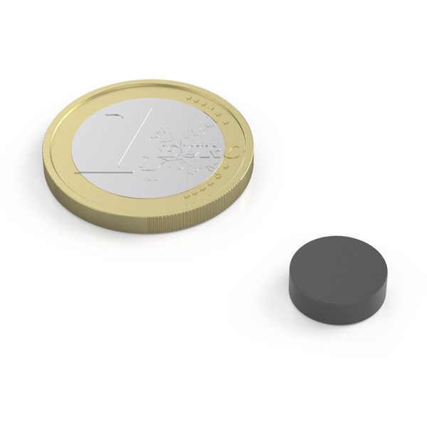 Magnet Ø 10 mm 1 kus