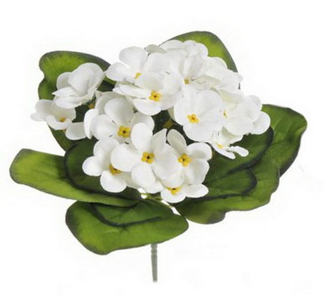 Fialka africká - bílá 16 cm