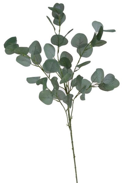 Eukalyptus 90 cm - zelená tmavší 90cm