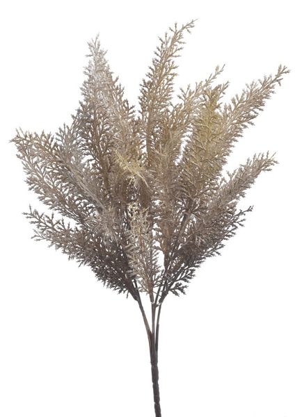 Vřesovec trs 5 větviček - šedobéžová