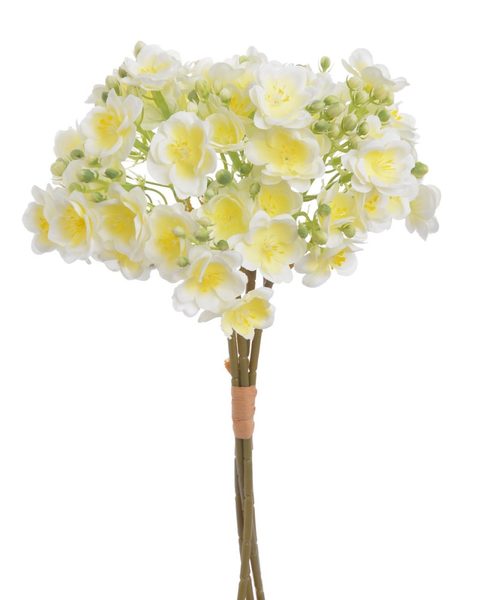 květy frézie, svazek 4 ks - bílá/žlutá