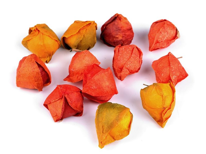 Umělá mochyně k aranžování BALENÍ 12 kusů malých