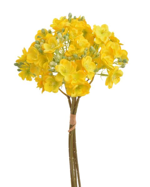 Květy frézie, svazek 4 ks - žlutá