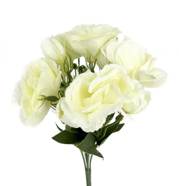 Jícnovka buket - krémová