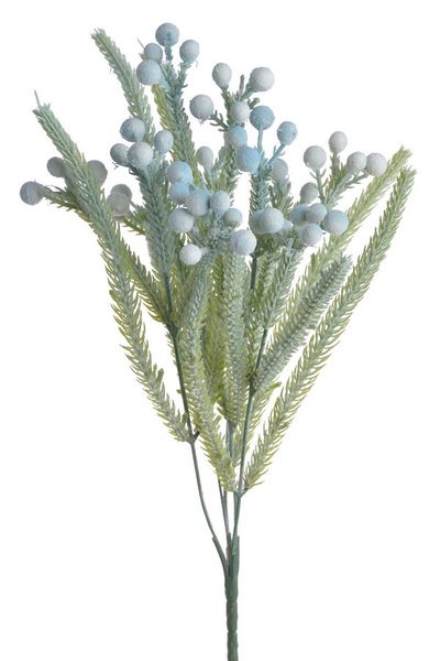 Brunia - trs - modrošedá